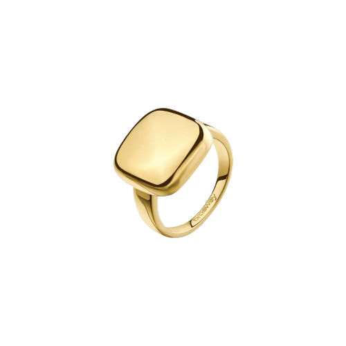 Anello in Acciaio Donna Brosway Muse-Kaidara Gioielli