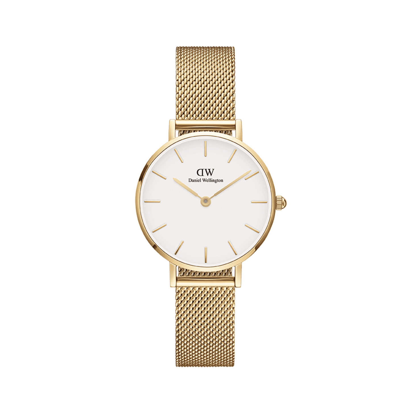 Set Orologio in Acciaio Donna Daniel Wellington Petite Evergold-Kaidara Gioielli